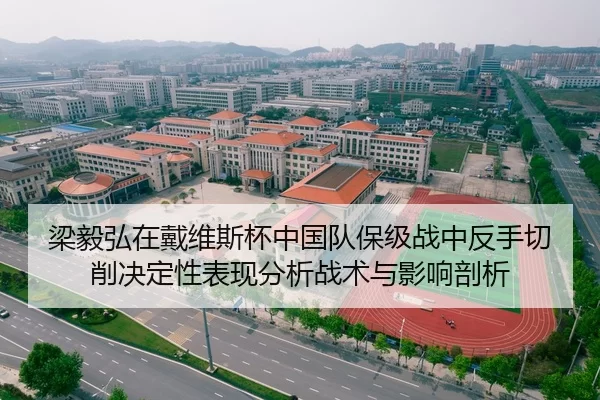 梁毅弘在戴维斯杯中国队保级战中反手切削决定性表现分析战术与影响剖析