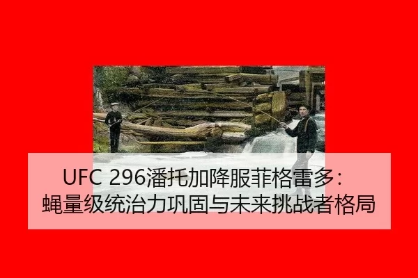 pan-tuo-jia-xiang-fu-fei-ge-lei-duo-ying-liang-ji-tong-zhi-li-gong-gu-yu-wei-lai-tiao-zhan-zhe-ge-ju-3-592.jpg